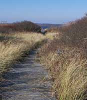 path to the beach